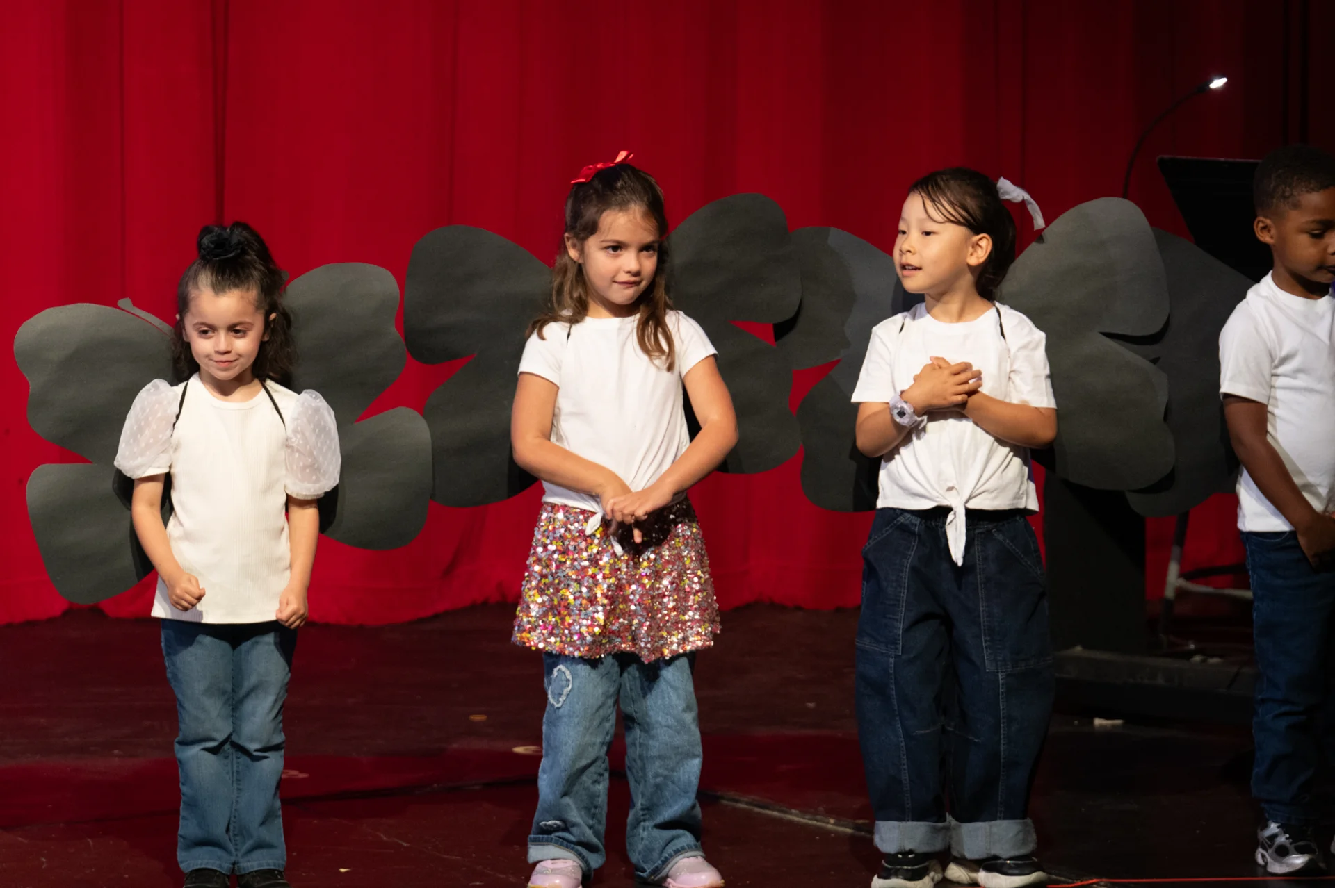 Butterfly 2026 29.webp